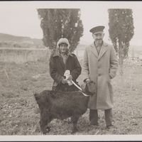 http://83.212.248.204/data/data/enotitaA/A SECTION/View_images/PHOTOS/SAUL AND GLADYS WEINBERG/SAUL AND GLADYS WEINBERG BOX 7/SGW_0449.jpg